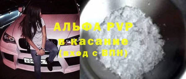гидра Алексин