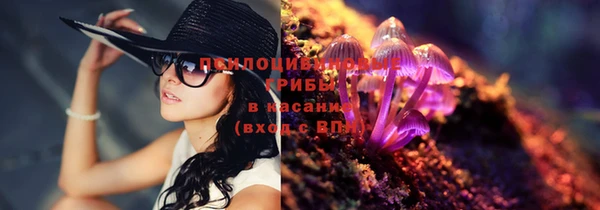 мяу мяу мука Алексеевка