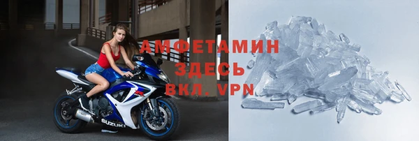 гидра Алексин
